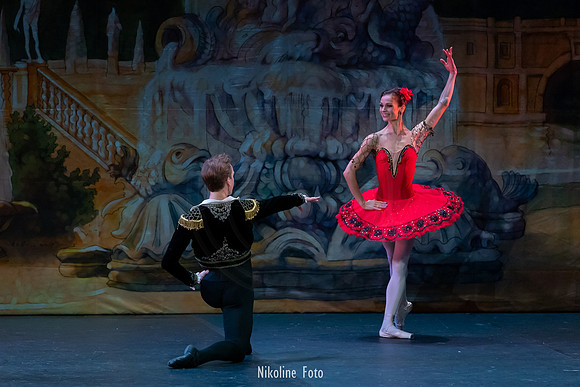 Don Quixote, Moscow Art Ballet Theatre