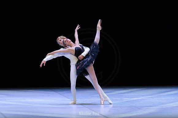 Swan Lake pas de deux
