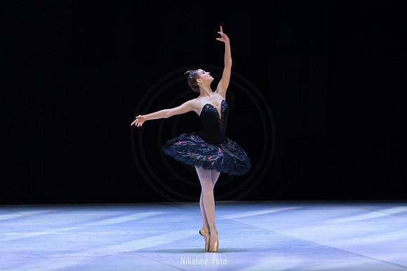 Swan Lake pas de deux