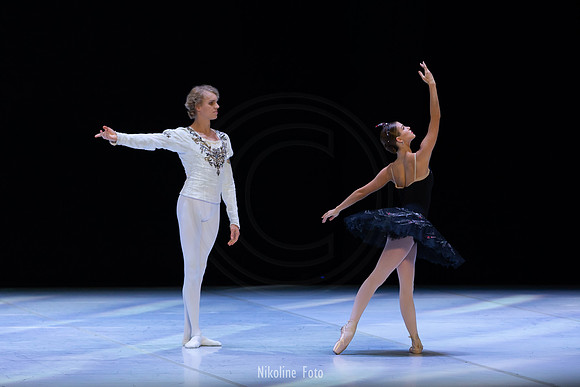 Swan Lake pas de deux