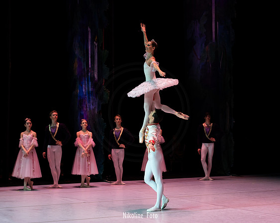The Nutcracker pas de deux act 2