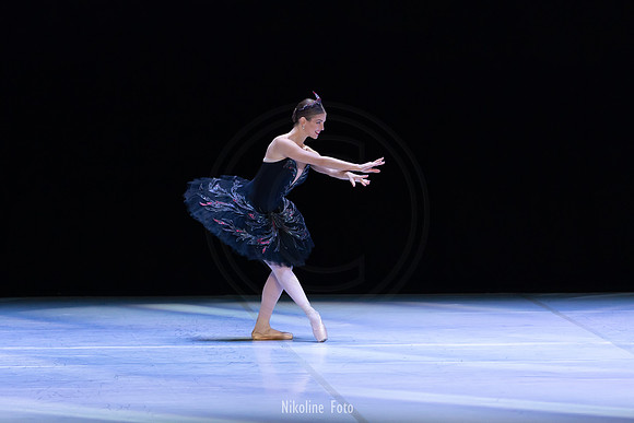 Swan Lake pas de deux