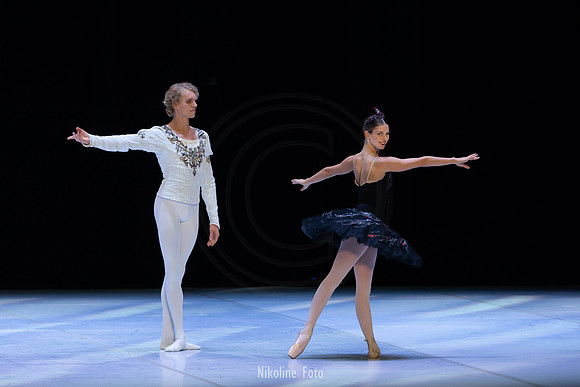 Swan Lake pas de deux