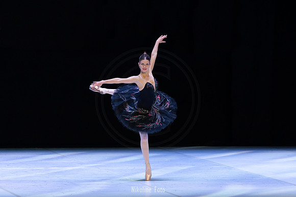 Swan Lake pas de deux
