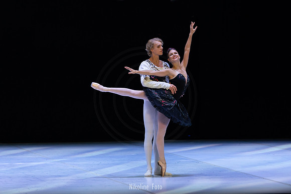 Swan Lake pas de deux