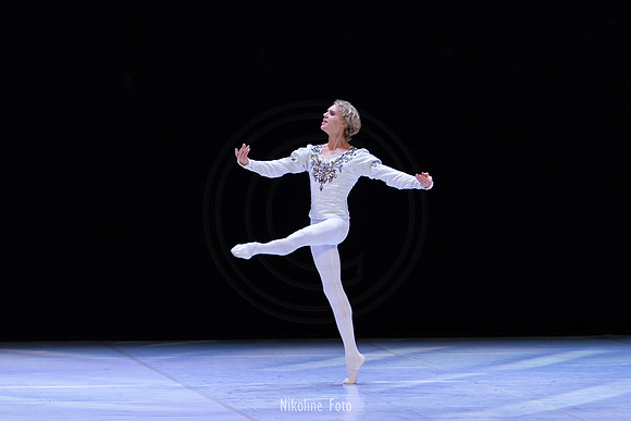 Swan Lake pas de deux