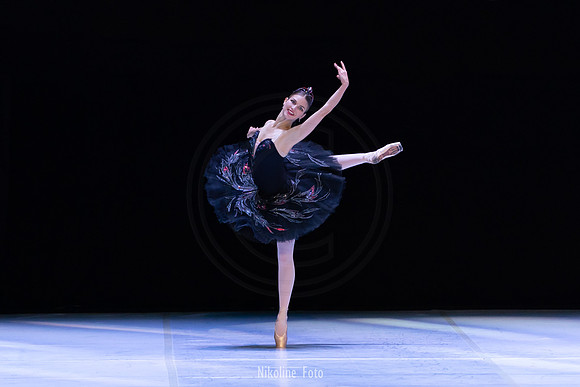 Swan Lake pas de deux