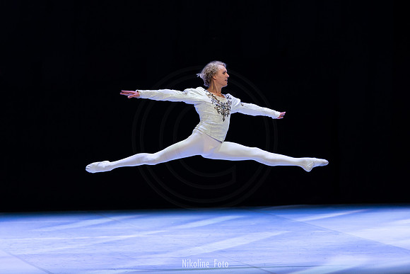 Swan Lake pas de deux